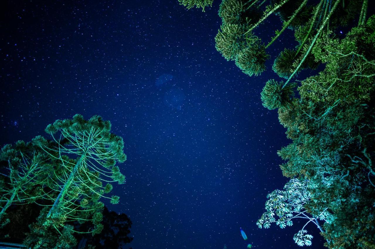 Sítio das Hortênsias Chalés Conceição da Ibitipoca Exterior foto